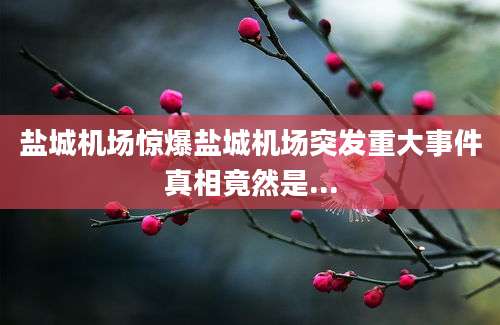 盐城机场惊爆盐城机场突发重大事件真相竟然是...