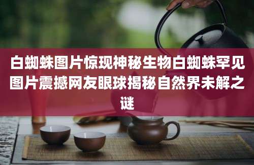 白蜘蛛图片惊现神秘生物白蜘蛛罕见图片震撼网友眼球揭秘自然界未解之谜