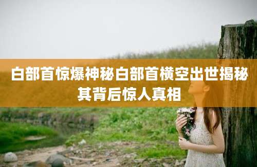 白部首惊爆神秘白部首横空出世揭秘其背后惊人真相