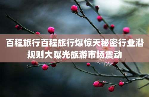 百程旅行百程旅行爆惊天秘密行业潜规则大曝光旅游市场震动