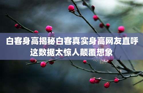 白客身高揭秘白客真实身高网友直呼这数据太惊人颠覆想象