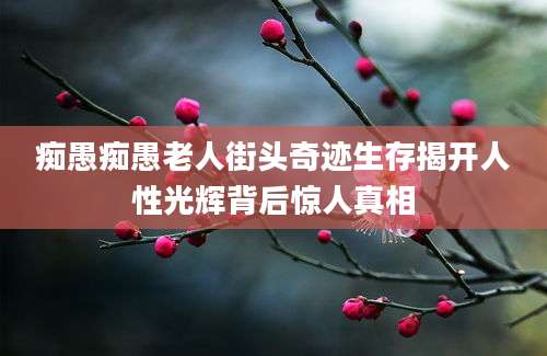 痴愚痴愚老人街头奇迹生存揭开人性光辉背后惊人真相