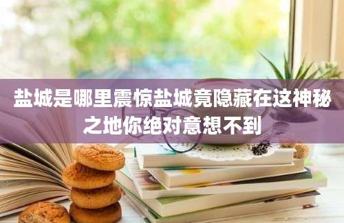 盐城是哪里震惊盐城竟隐藏在这神秘之地你绝对意想不到