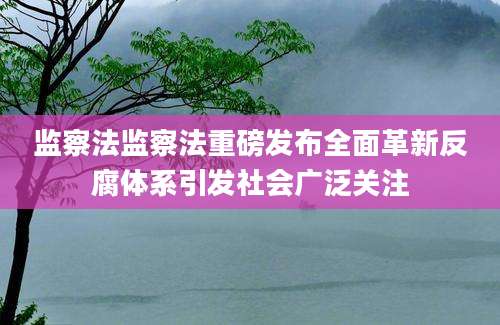 监察法监察法重磅发布全面革新反腐体系引发社会广泛关注
