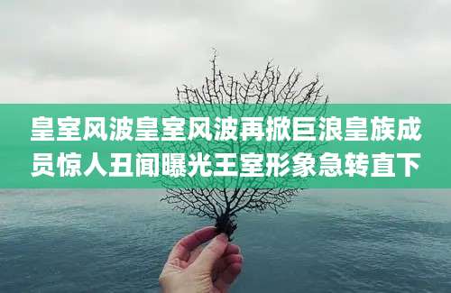 皇室风波皇室风波再掀巨浪皇族成员惊人丑闻曝光王室形象急转直下