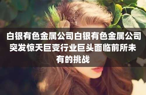 白银有色金属公司白银有色金属公司突发惊天巨变行业巨头面临前所未有的挑战