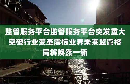 监管服务平台监管服务平台突发重大突破行业变革震惊业界未来监管格局将焕然一新