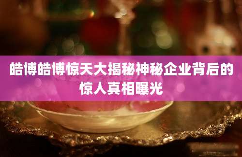 皓博皓博惊天大揭秘神秘企业背后的惊人真相曝光