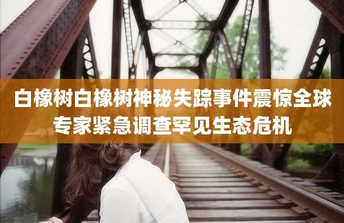白橡树白橡树神秘失踪事件震惊全球专家紧急调查罕见生态危机