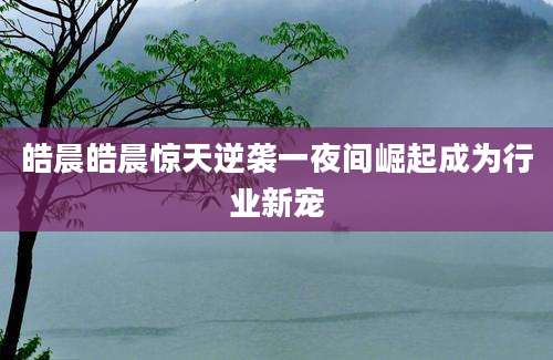 皓晨皓晨惊天逆袭一夜间崛起成为行业新宠