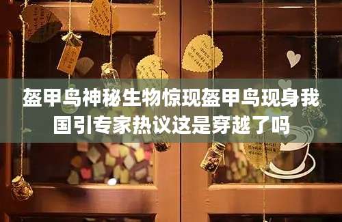盔甲鸟神秘生物惊现盔甲鸟现身我国引专家热议这是穿越了吗