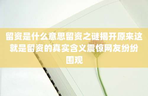 留资是什么意思留资之谜揭开原来这就是留资的真实含义震惊网友纷纷围观