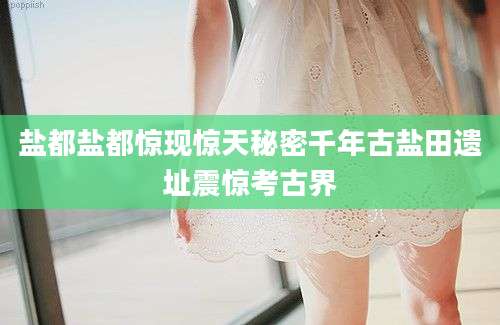 盐都盐都惊现惊天秘密千年古盐田遗址震惊考古界