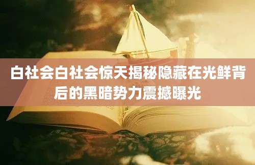 白社会白社会惊天揭秘隐藏在光鲜背后的黑暗势力震撼曝光