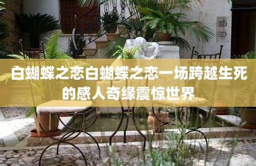 白蝴蝶之恋白蝴蝶之恋一场跨越生死的感人奇缘震惊世界