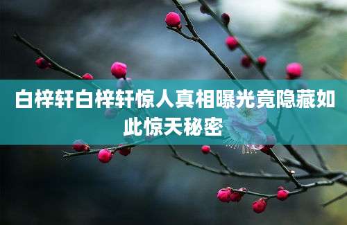 白梓轩白梓轩惊人真相曝光竟隐藏如此惊天秘密