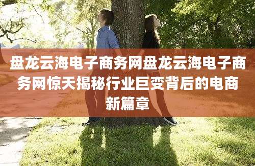盘龙云海电子商务网盘龙云海电子商务网惊天揭秘行业巨变背后的电商新篇章