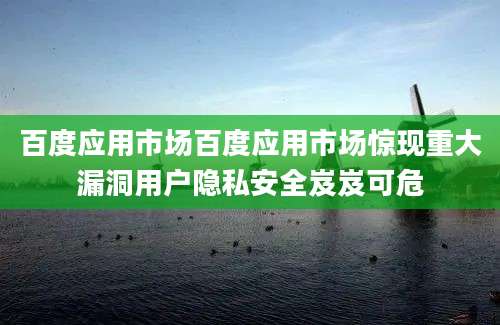 百度应用市场百度应用市场惊现重大漏洞用户隐私安全岌岌可危