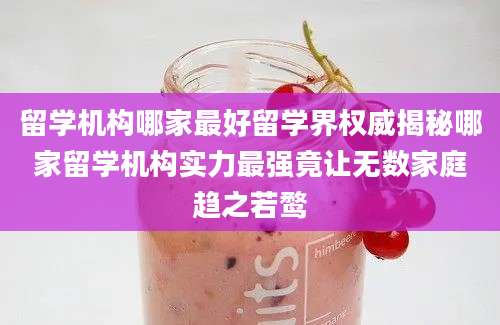 留学机构哪家最好留学界权威揭秘哪家留学机构实力最强竟让无数家庭趋之若鹜