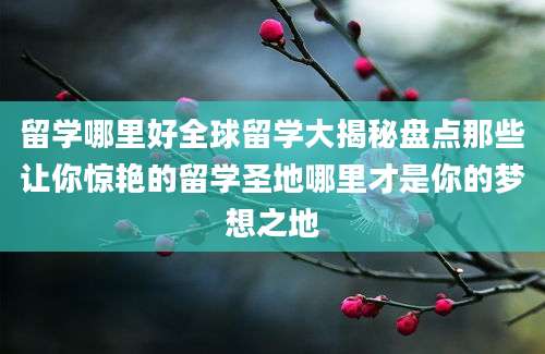 留学哪里好全球留学大揭秘盘点那些让你惊艳的留学圣地哪里才是你的梦想之地