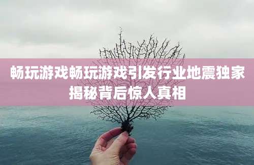 畅玩游戏畅玩游戏引发行业地震独家揭秘背后惊人真相