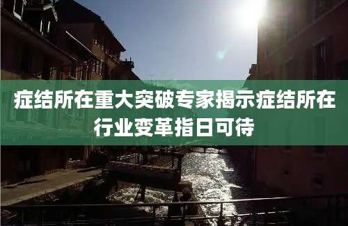 症结所在重大突破专家揭示症结所在行业变革指日可待