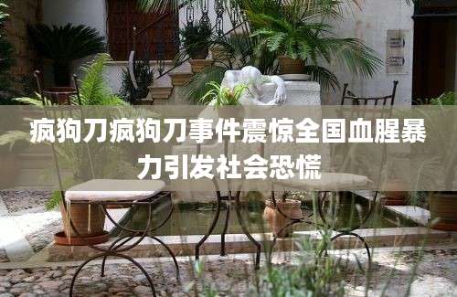 疯狗刀疯狗刀事件震惊全国血腥暴力引发社会恐慌