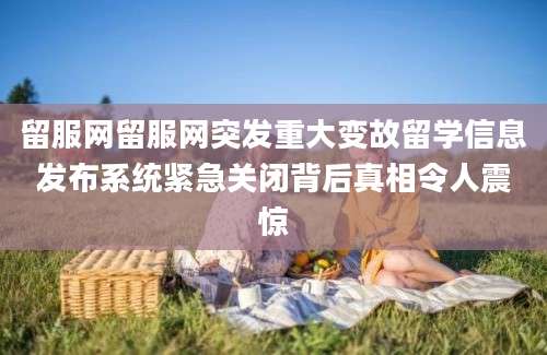 留服网留服网突发重大变故留学信息发布系统紧急关闭背后真相令人震惊