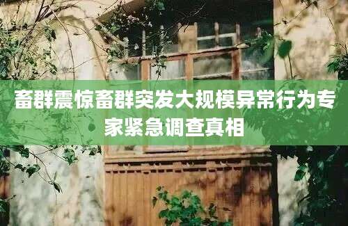 畜群震惊畜群突发大规模异常行为专家紧急调查真相