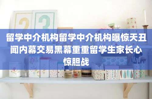 留学中介机构留学中介机构曝惊天丑闻内幕交易黑幕重重留学生家长心惊胆战