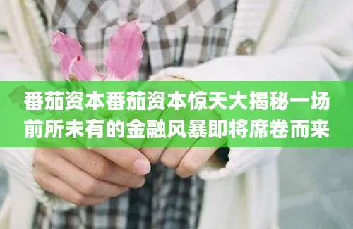 番茄资本番茄资本惊天大揭秘一场前所未有的金融风暴即将席卷而来