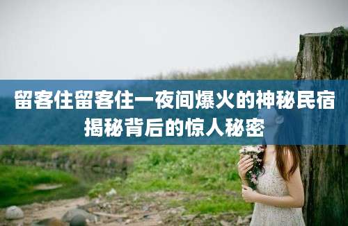 留客住留客住一夜间爆火的神秘民宿揭秘背后的惊人秘密