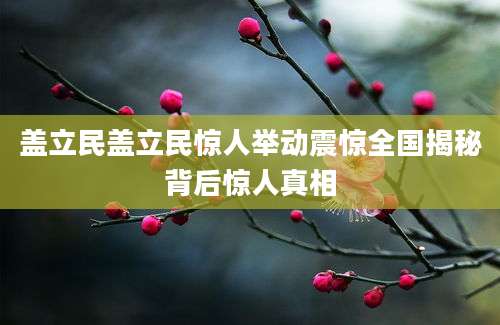 盖立民盖立民惊人举动震惊全国揭秘背后惊人真相