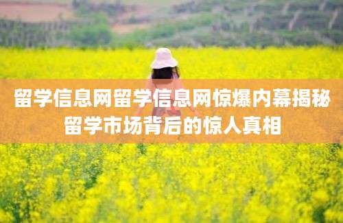 留学信息网留学信息网惊爆内幕揭秘留学市场背后的惊人真相