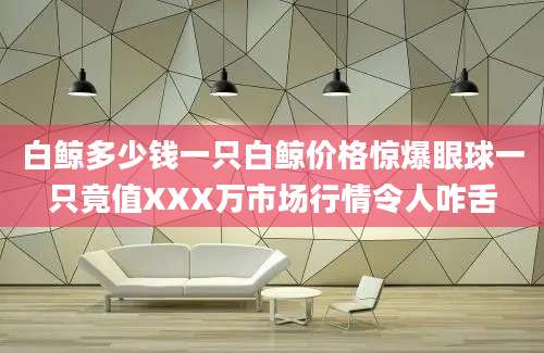 白鲸多少钱一只白鲸价格惊爆眼球一只竟值XXX万市场行情令人咋舌