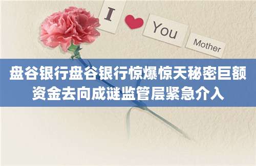 盘谷银行盘谷银行惊爆惊天秘密巨额资金去向成谜监管层紧急介入