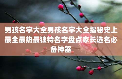 男孩名字大全男孩名字大全揭秘史上最全最热最独特名字盘点家长选名必备神器