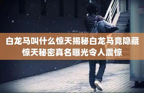 白龙马叫什么惊天揭秘白龙马竟隐藏惊天秘密真名曝光令人震惊
