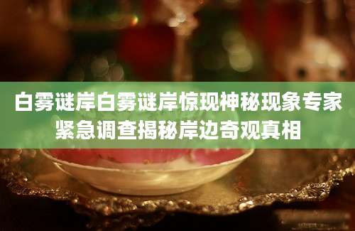 白雾谜岸白雾谜岸惊现神秘现象专家紧急调查揭秘岸边奇观真相