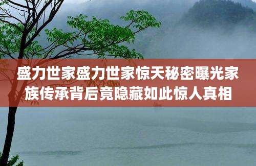 盛力世家盛力世家惊天秘密曝光家族传承背后竟隐藏如此惊人真相