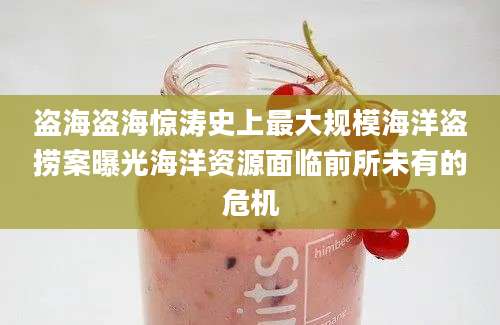 盗海盗海惊涛史上最大规模海洋盗捞案曝光海洋资源面临前所未有的危机