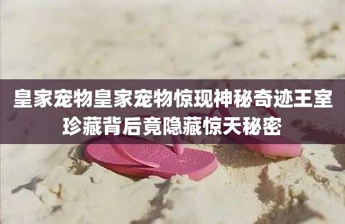 皇家宠物皇家宠物惊现神秘奇迹王室珍藏背后竟隐藏惊天秘密
