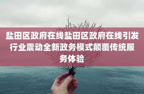 盐田区政府在线盐田区政府在线引发行业震动全新政务模式颠覆传统服务体验