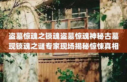 盗墓惊魂之锁魂盗墓惊魂神秘古墓现锁魂之谜专家现场揭秘惊悚真相