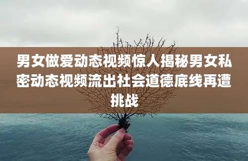 男女做爱动态视频惊人揭秘男女私密动态视频流出社会道德底线再遭挑战