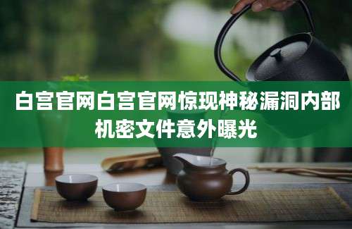 白宫官网白宫官网惊现神秘漏洞内部机密文件意外曝光