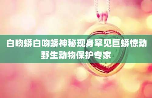 白吻蟒白吻蟒神秘现身罕见巨蟒惊动野生动物保护专家