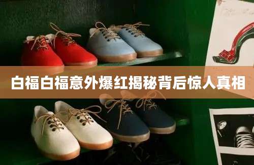 白福白福意外爆红揭秘背后惊人真相