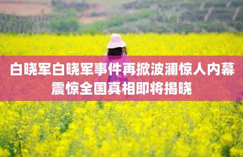 白晓军白晓军事件再掀波澜惊人内幕震惊全国真相即将揭晓