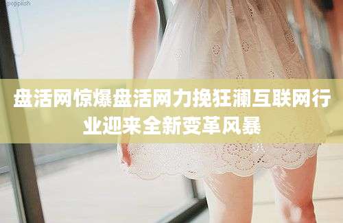 盘活网惊爆盘活网力挽狂澜互联网行业迎来全新变革风暴